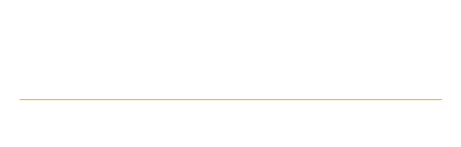 Basement Flood Protector, Inc.